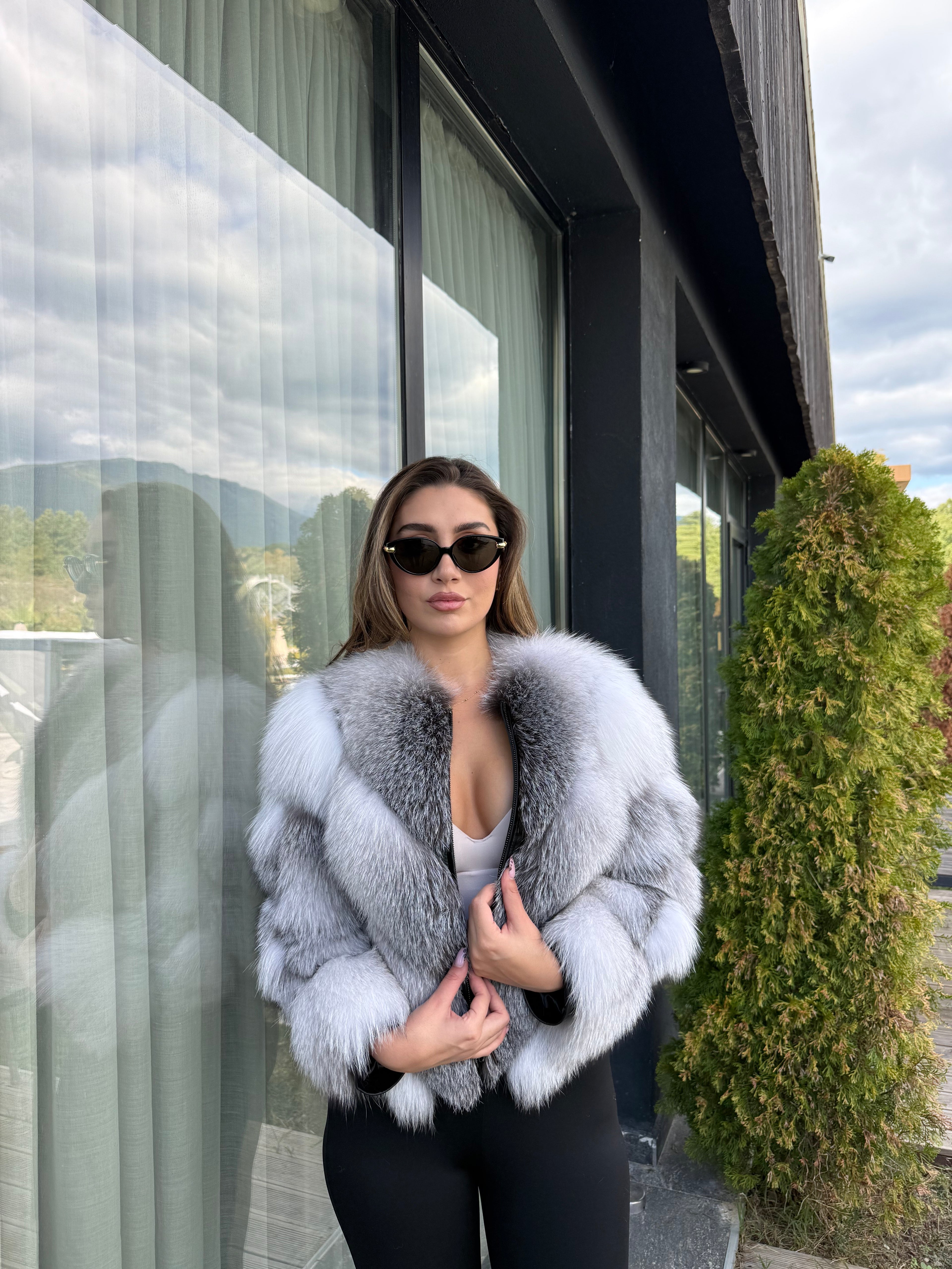 Arctic fox 2n1 model