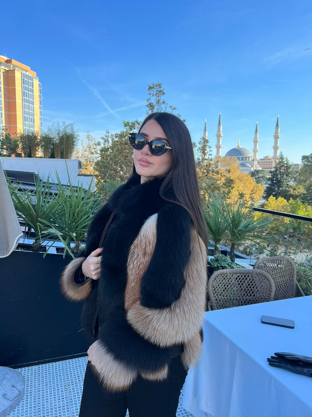 Mixed color fox model