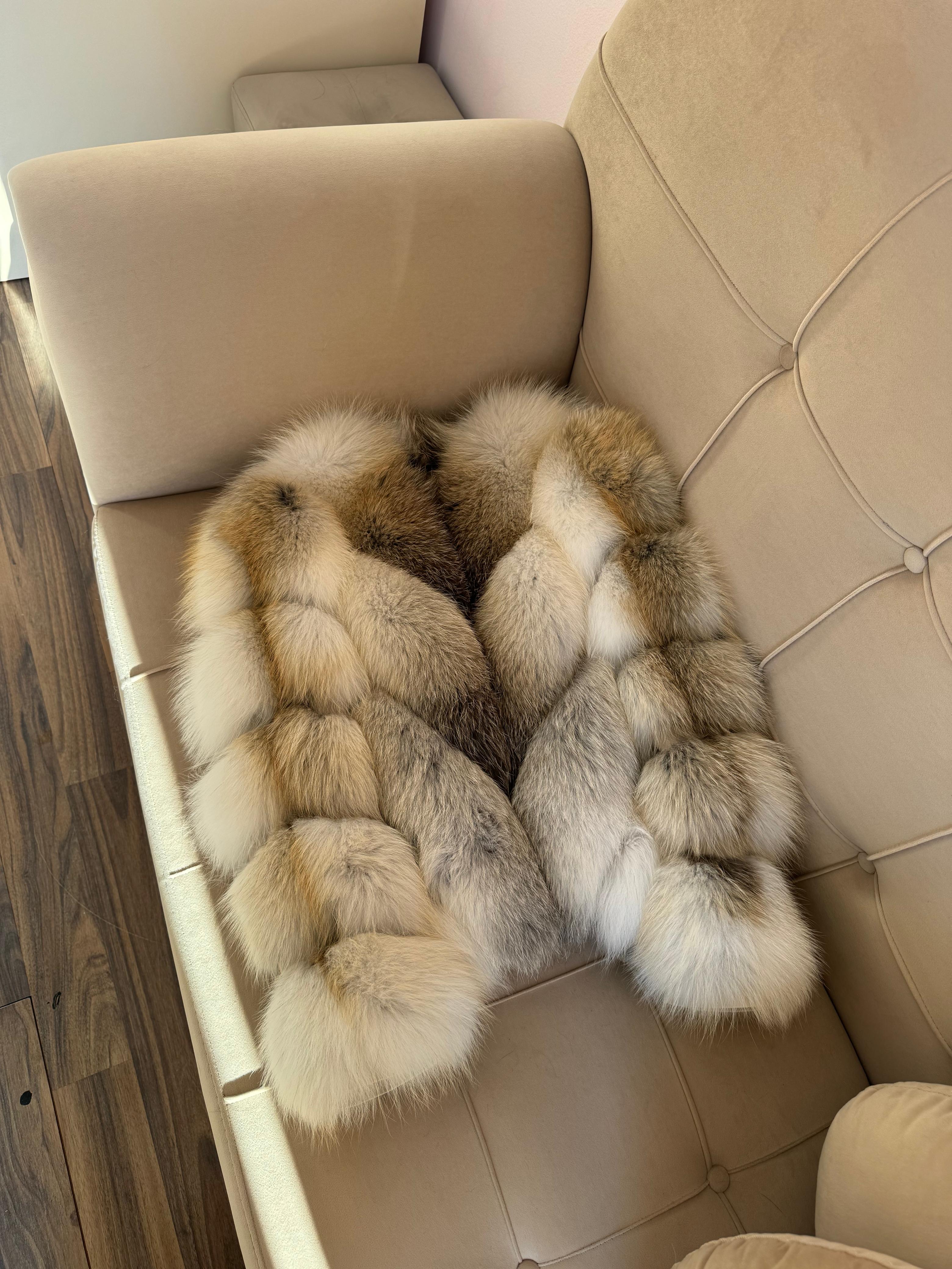 Alaska fox model 2n1