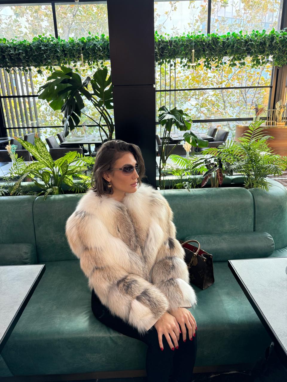 Alaska fox model 2n1