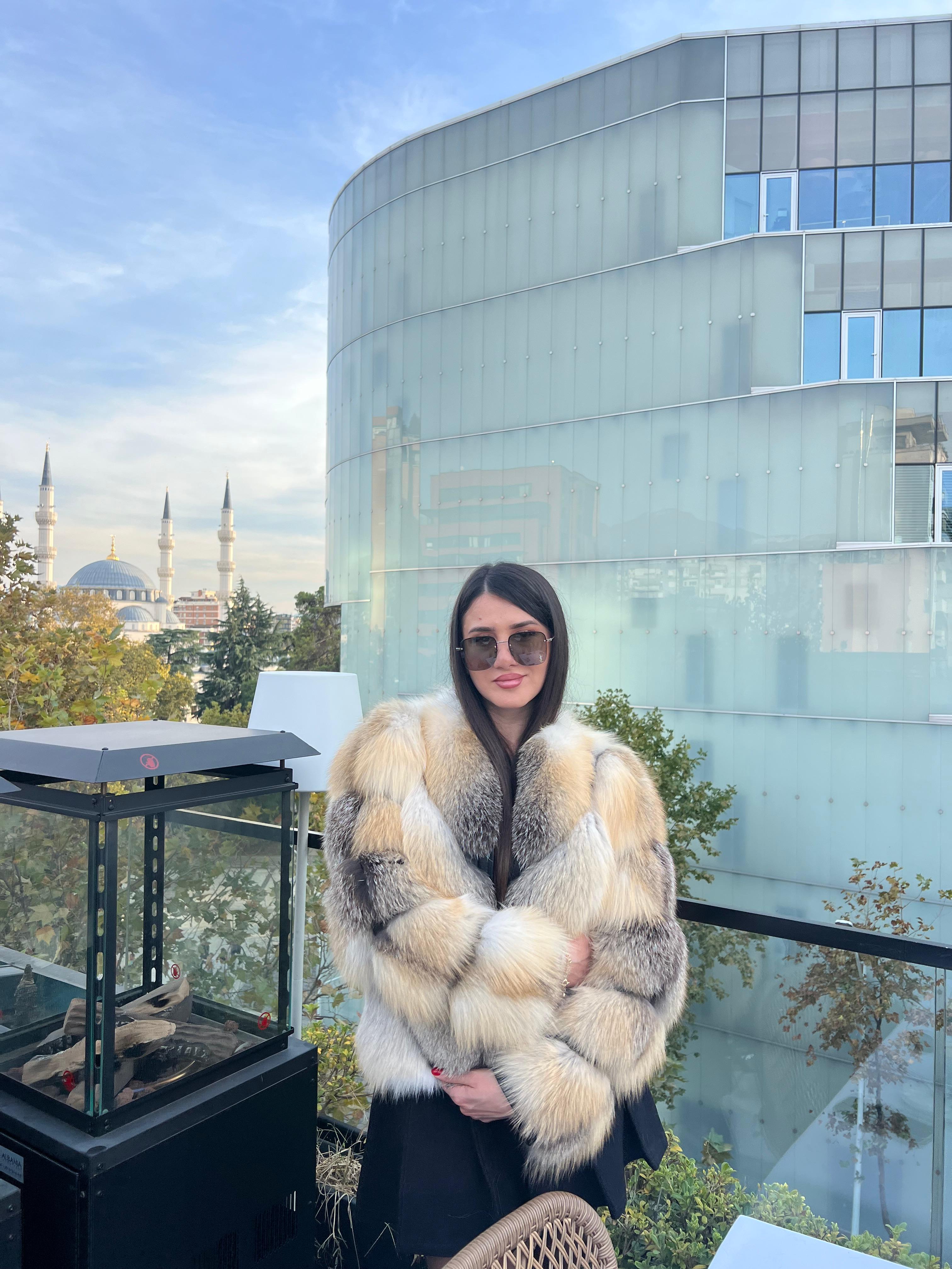 Golden island fox 2n1 model