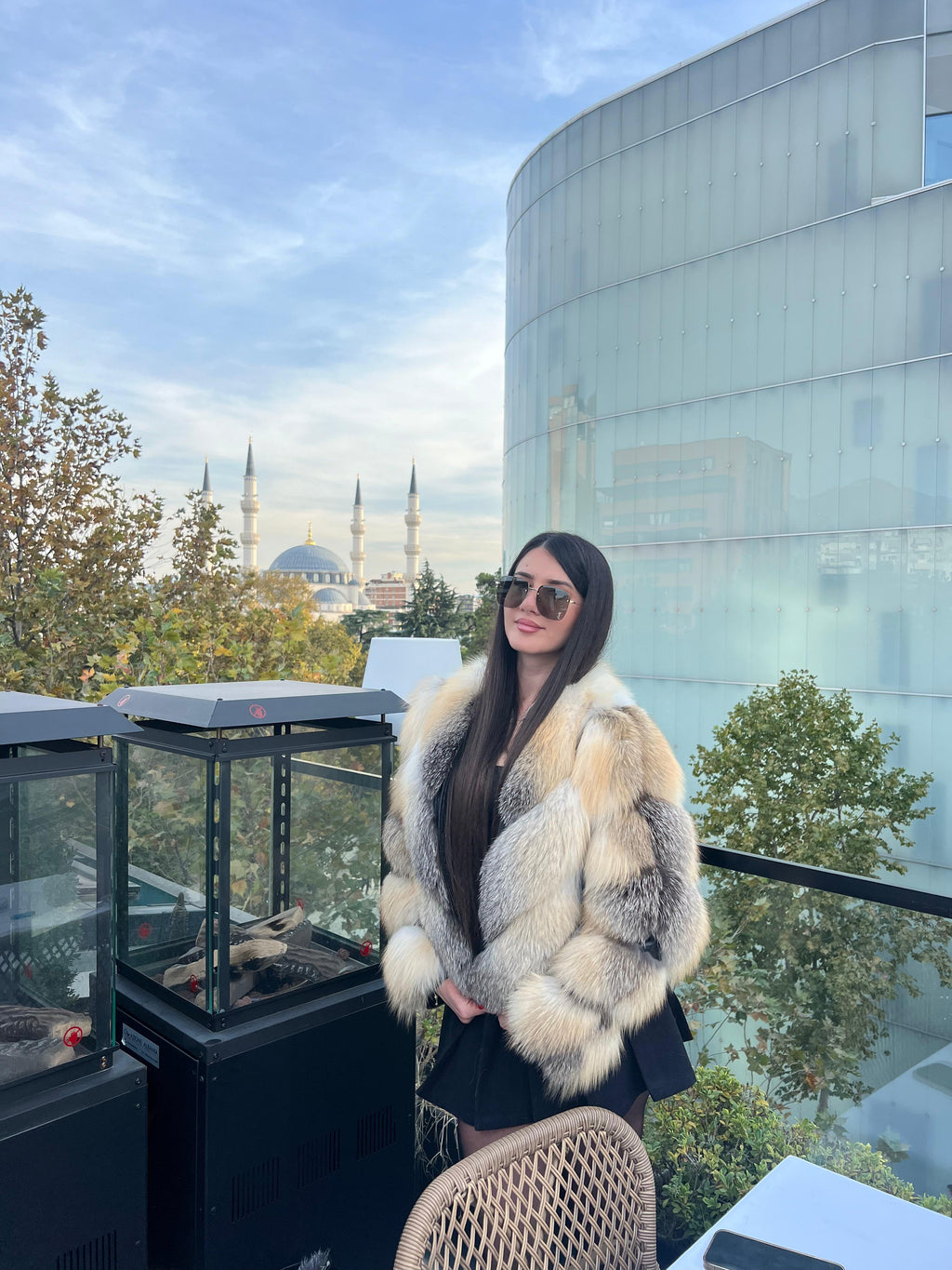 Golden island fox 2n1 model