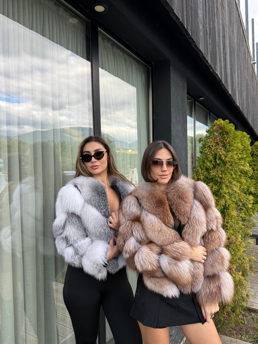 Crystal fox 2n1 model