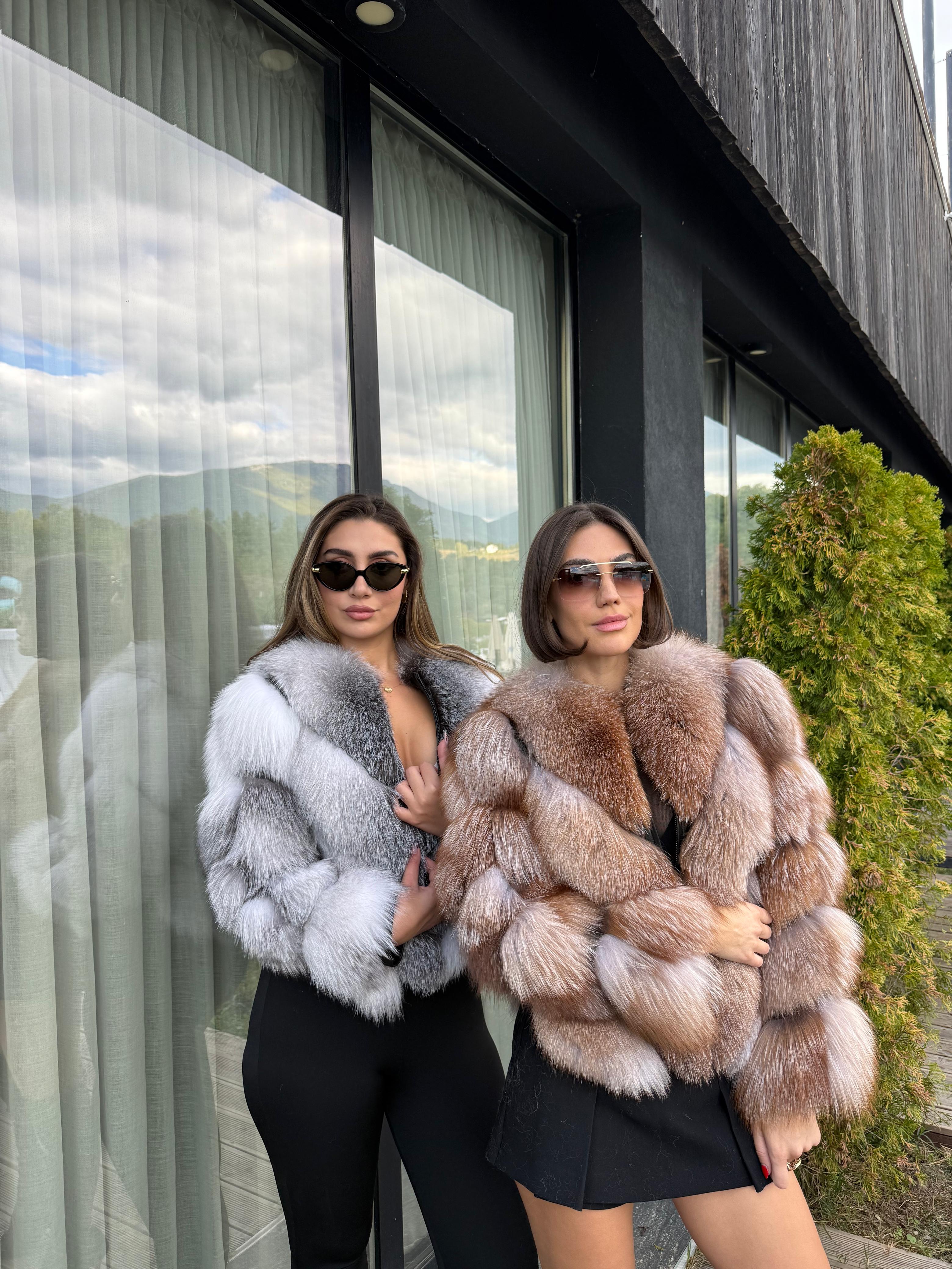 Crystal fox 2n1 model