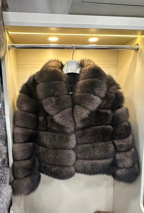 Russian dark fox model