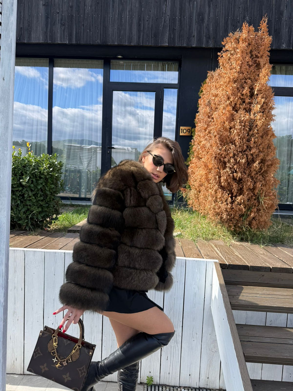 Russian dark fox model