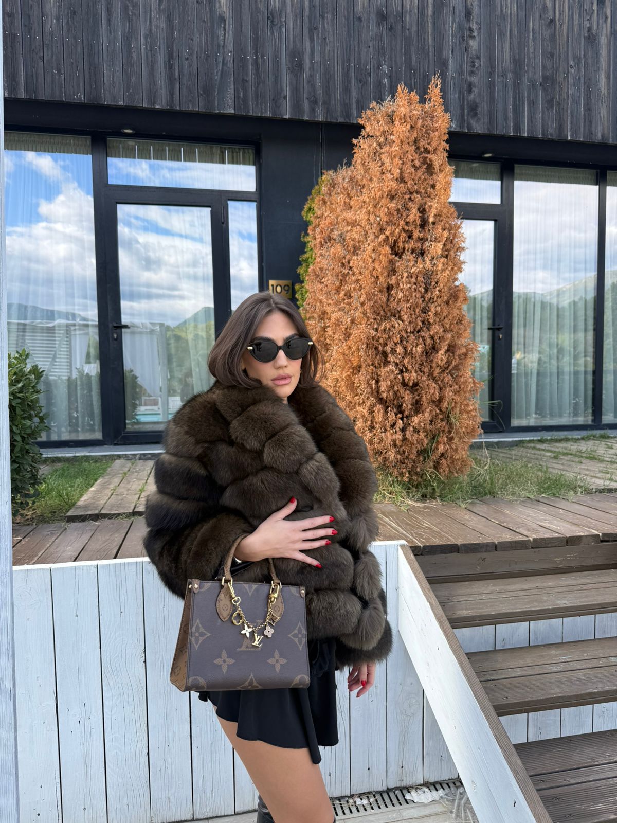 Russian dark fox model