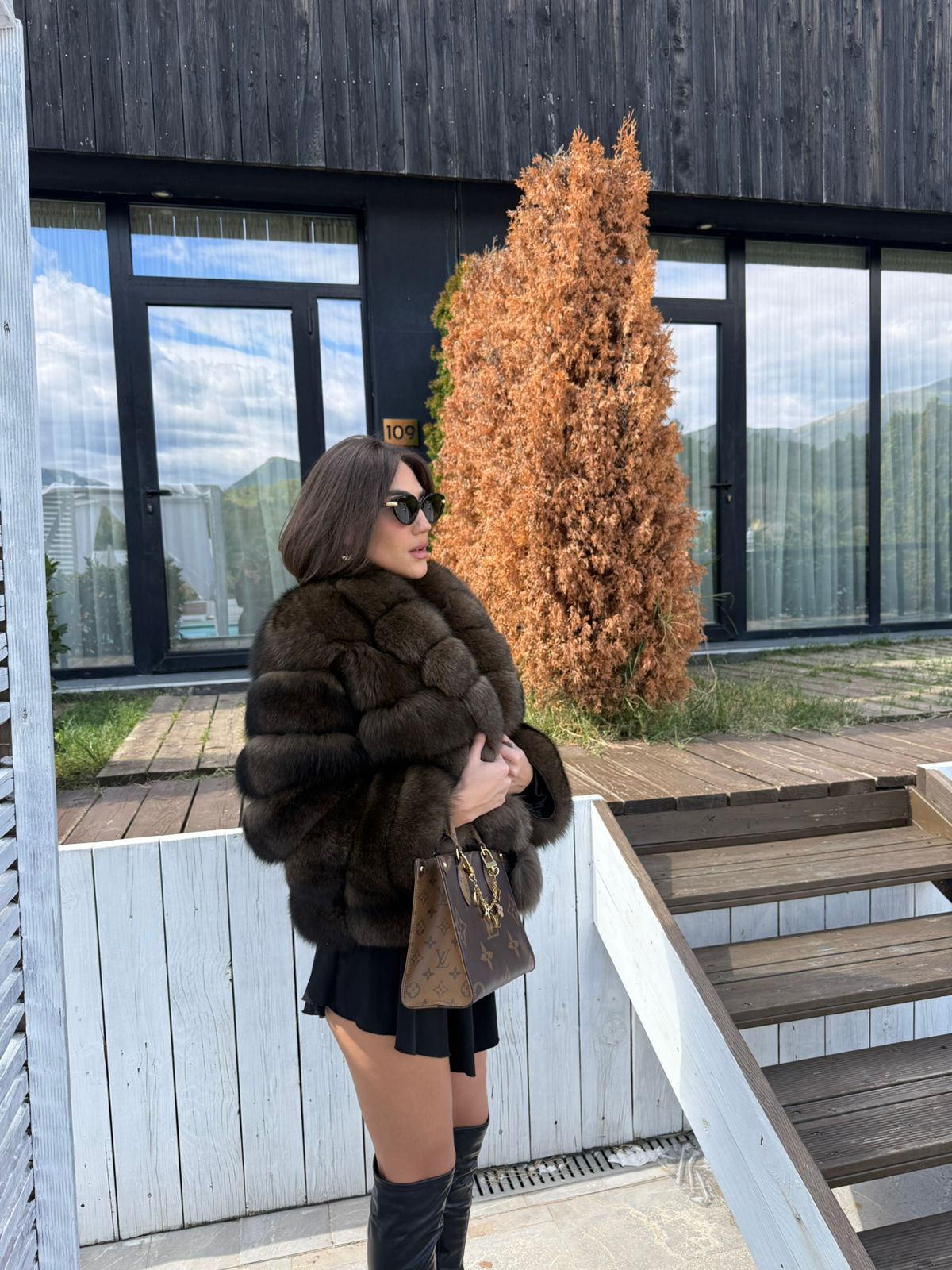 Russian dark fox model