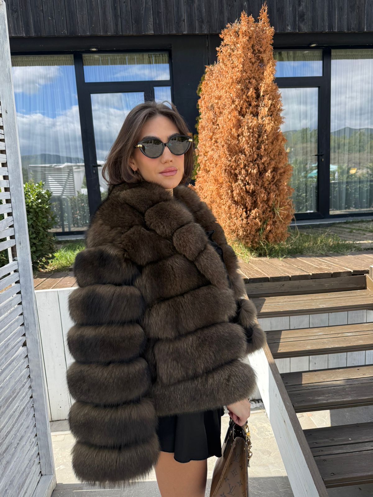 Russian dark fox model