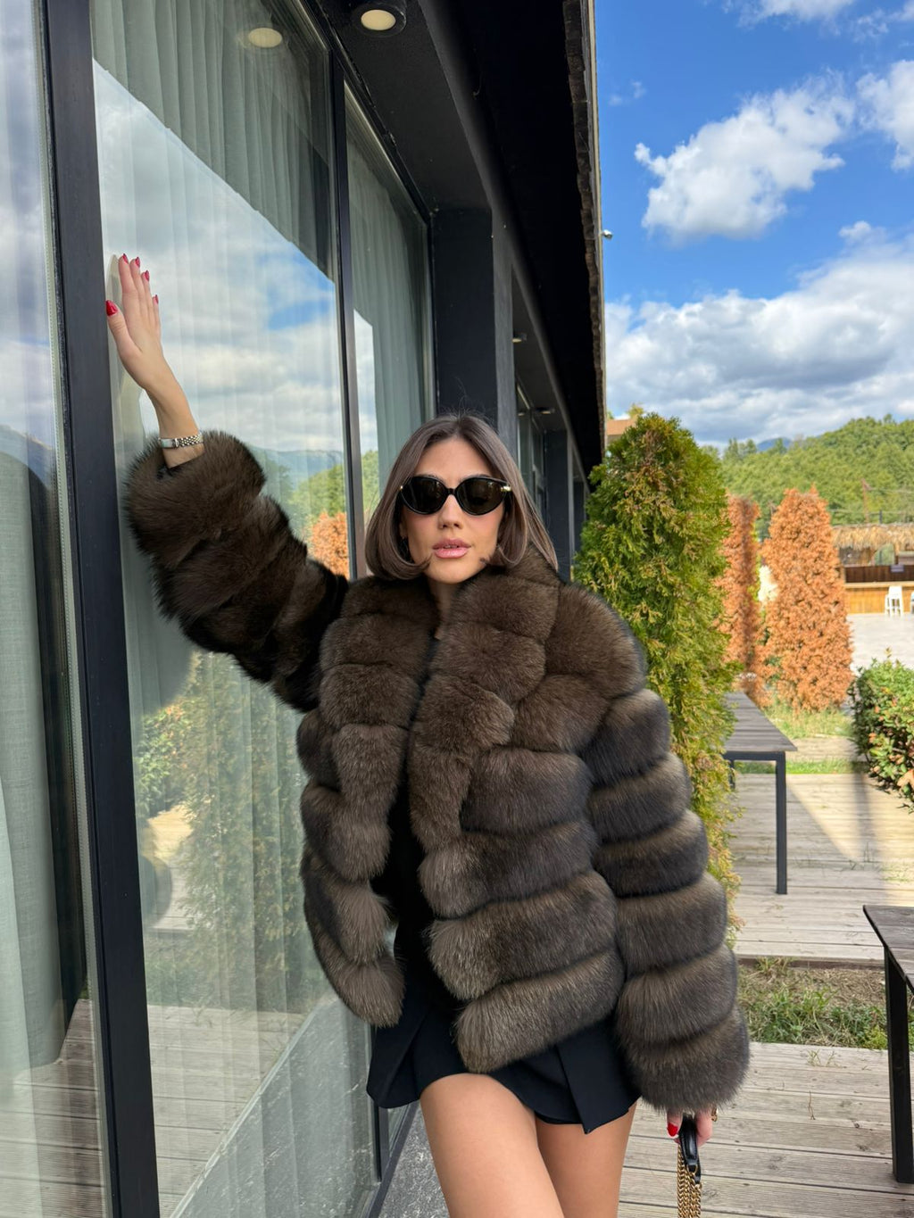 Russian dark fox model