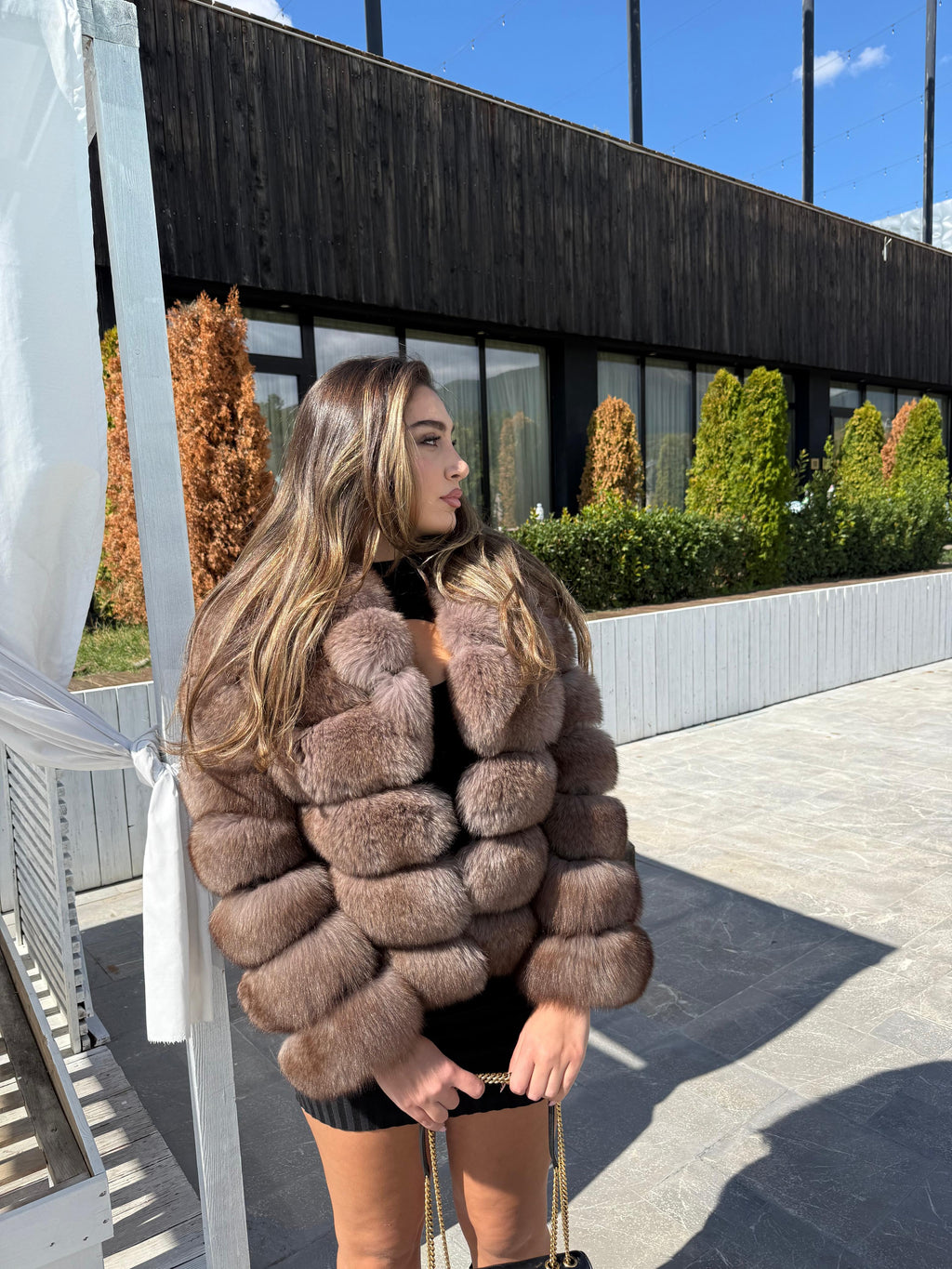 Russian light fox model