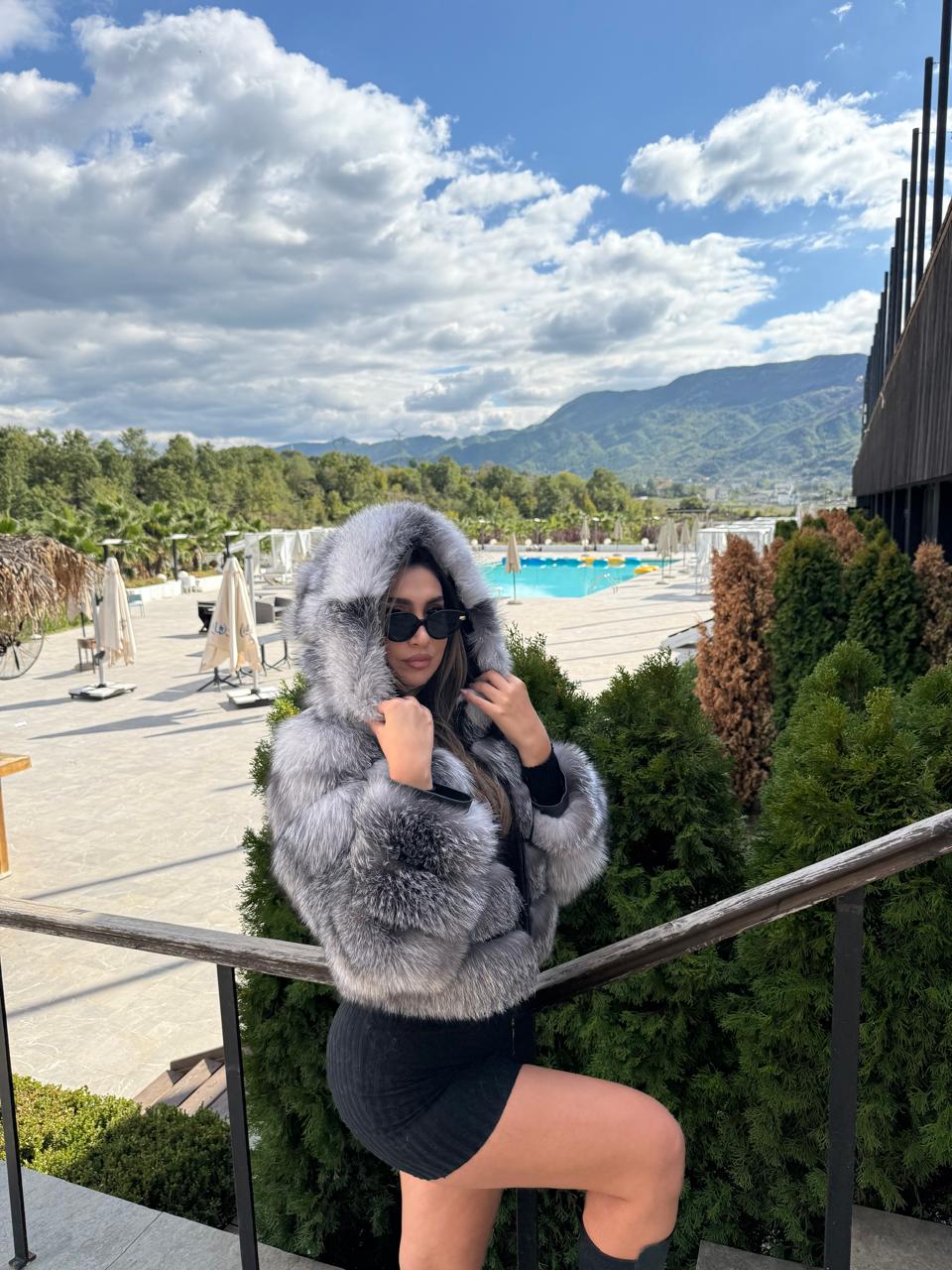 Hooded 3n1 silver fox model