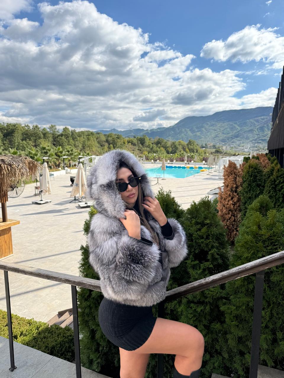 Hooded 3n1 silver fox model