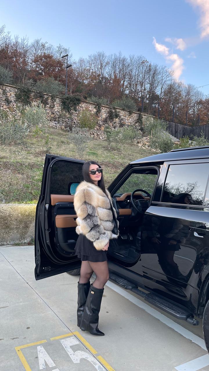 Full fox golden island 2n1 model