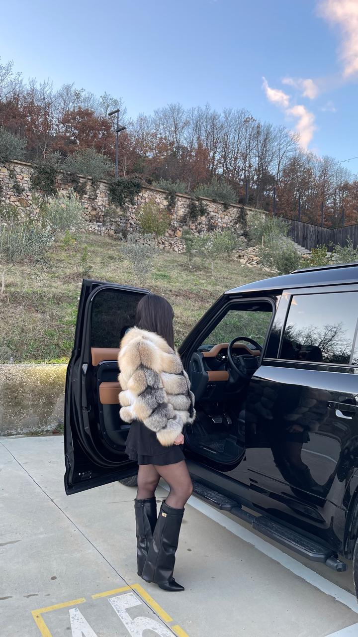 Full fox golden island 2n1 model