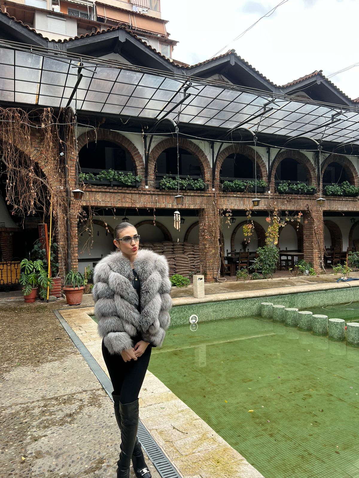 Silver fox 2n1 model