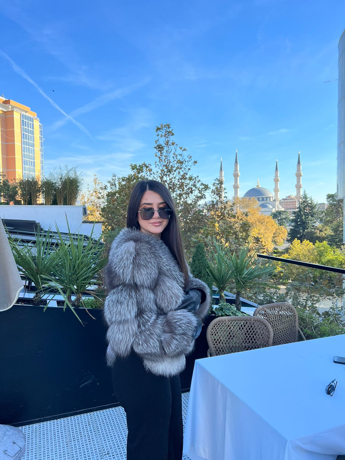 Silver fox 2n1 model