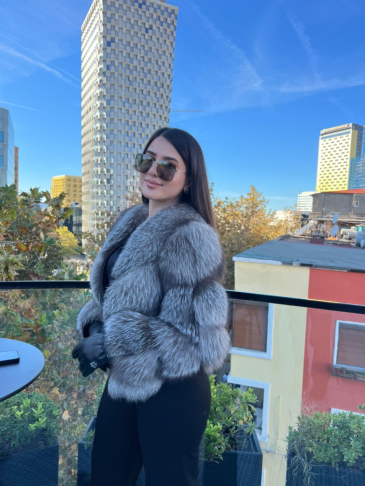 Silver fox 2n1 model