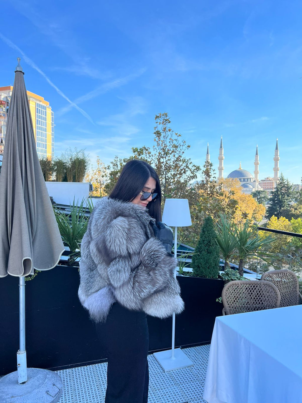 Silver fox 2n1 model