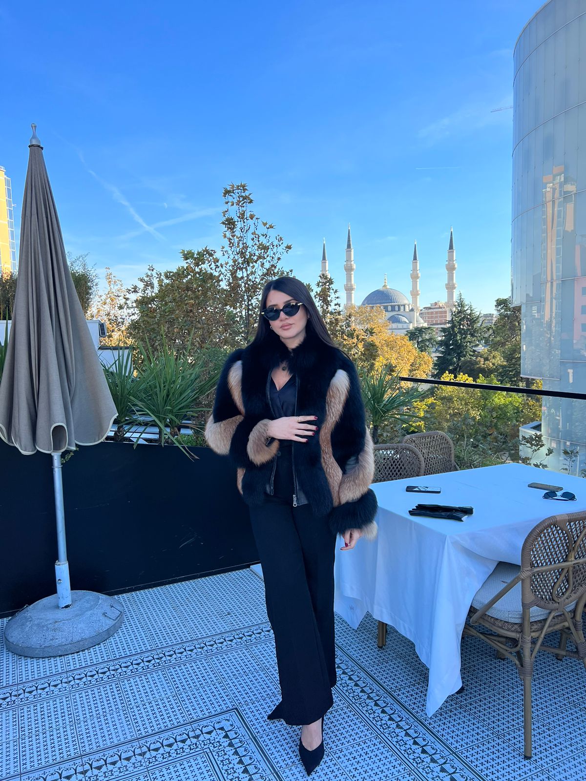 Mixed color fox model