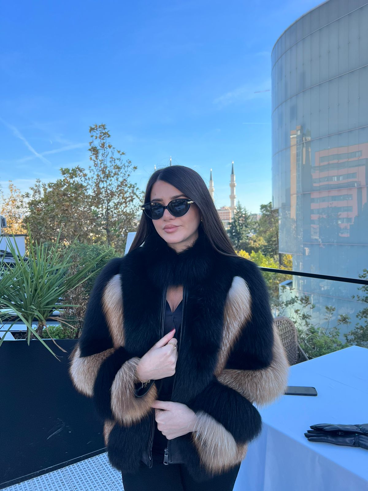 Mixed color fox model