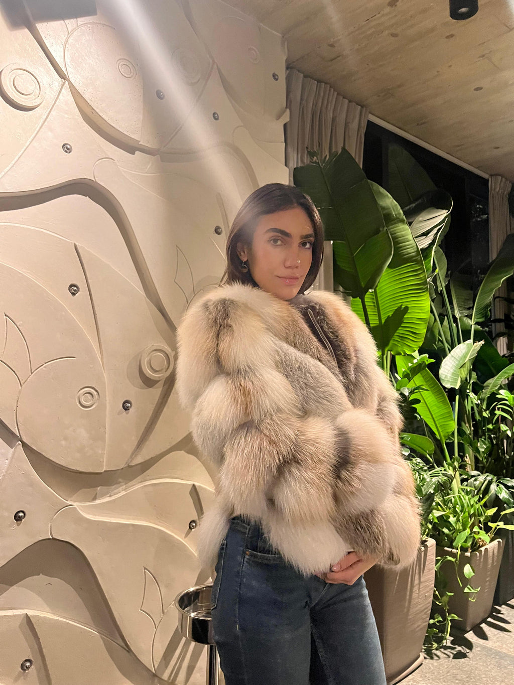 Alaska fox model 2n1