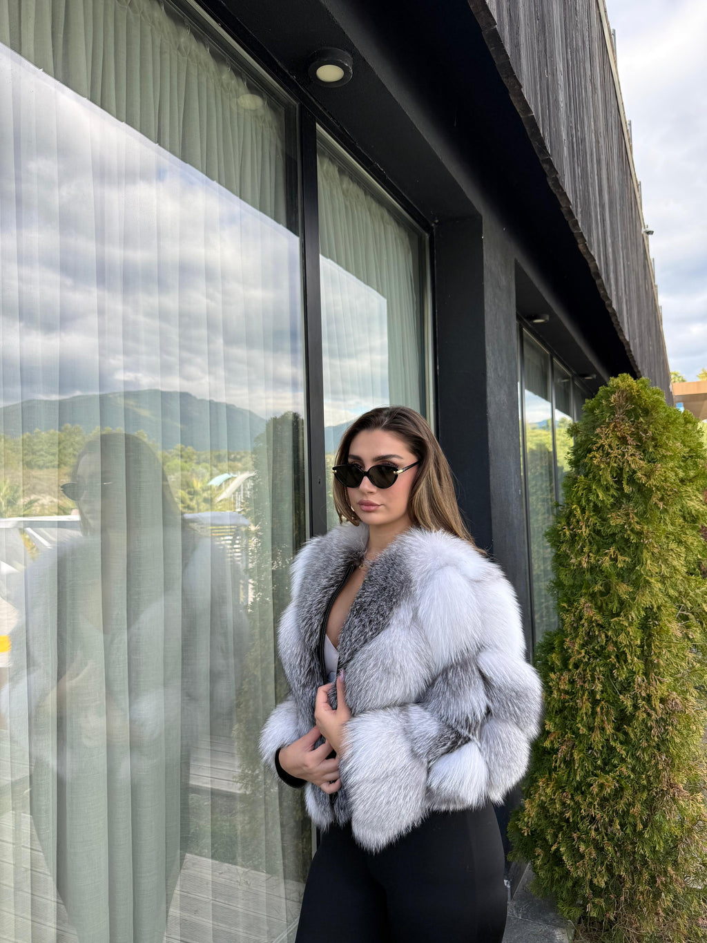 Arctic fox 2n1 model