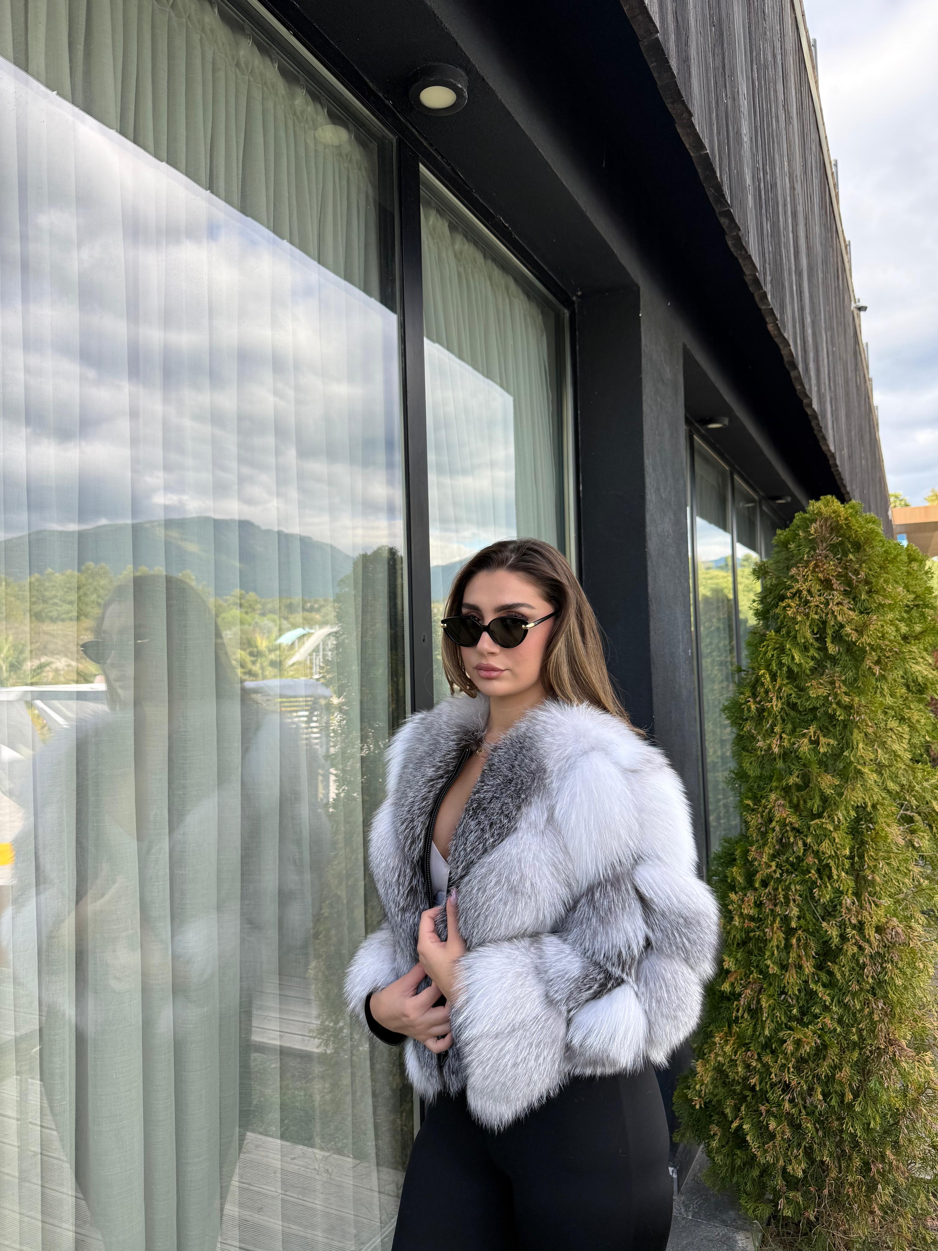 Arctic fox 2n1 model