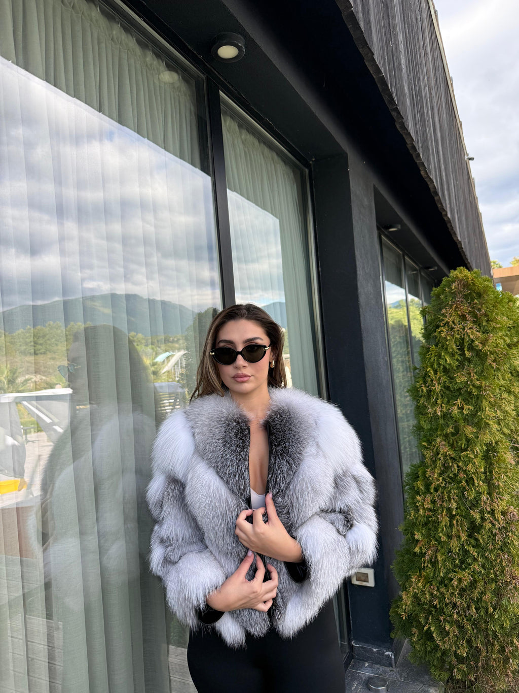 Arctic fox 2n1 model